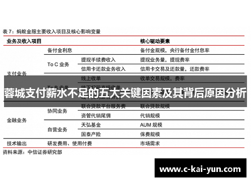 蓉城支付薪水不足的五大关键因素及其背后原因分析