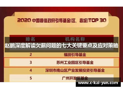 赵鹏深度解读欠薪问题的七大关键要点及应对策略