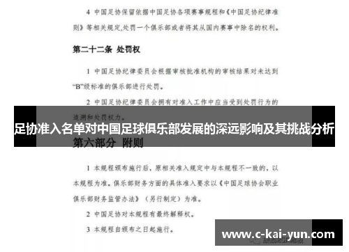 足协准入名单对中国足球俱乐部发展的深远影响及其挑战分析