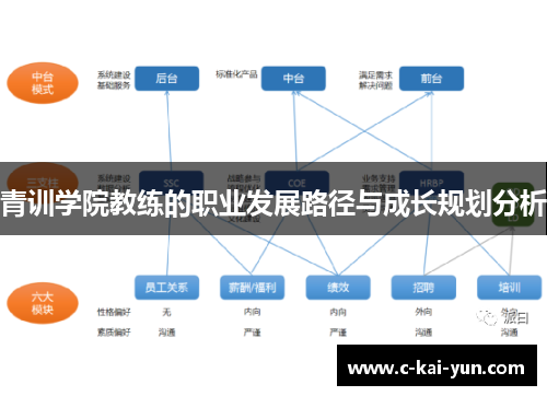 青训学院教练的职业发展路径与成长规划分析