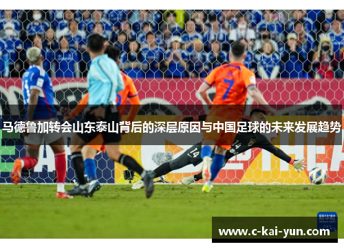 马德鲁加转会山东泰山背后的深层原因与中国足球的未来发展趋势