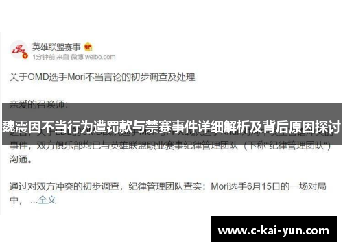 魏震因不当行为遭罚款与禁赛事件详细解析及背后原因探讨