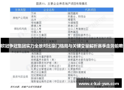 欧冠争冠集团实力全景对比豪门格局与关键变量解析赛季走势前瞻